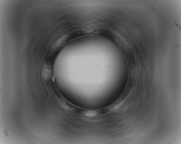 X0000097760085200803141732