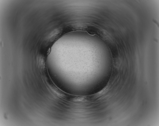 X0000097760086200803141732