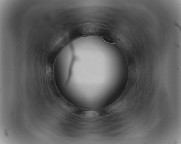 X0000097760087200803141732