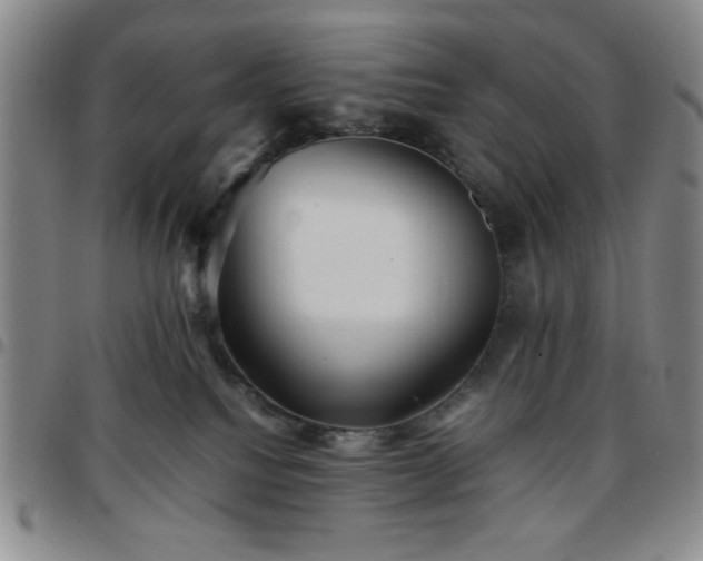 X0000097760088200803141732