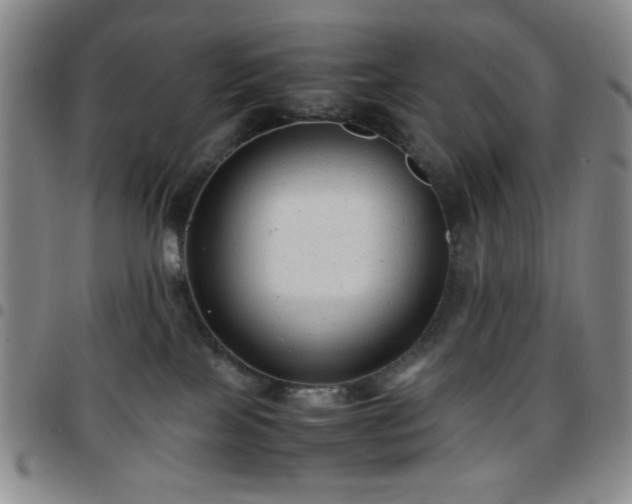 X0000097760089200803141732