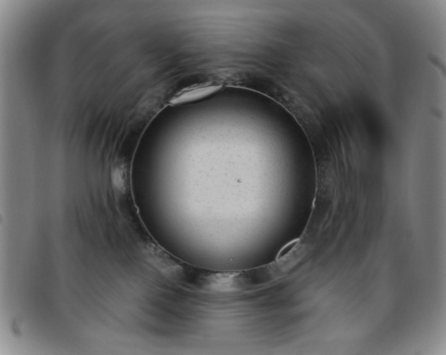 X0000097760090200803141732