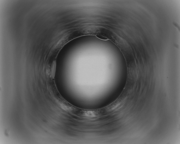 X0000097760091200803141732