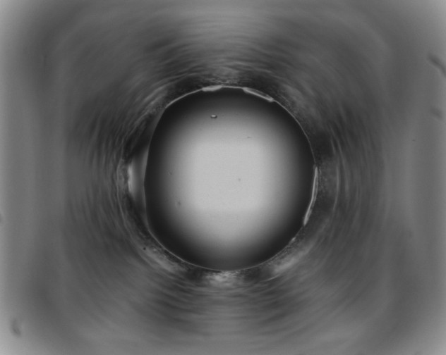 X0000097760092200803141732