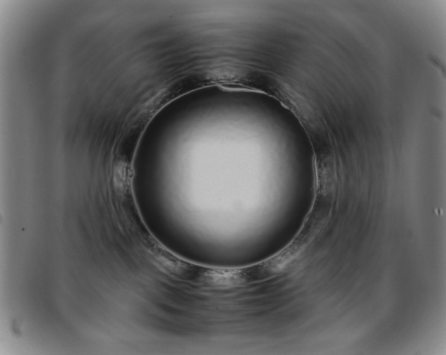 X0000097760093200803141732