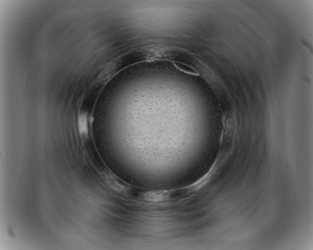 X0000097760094200803141732