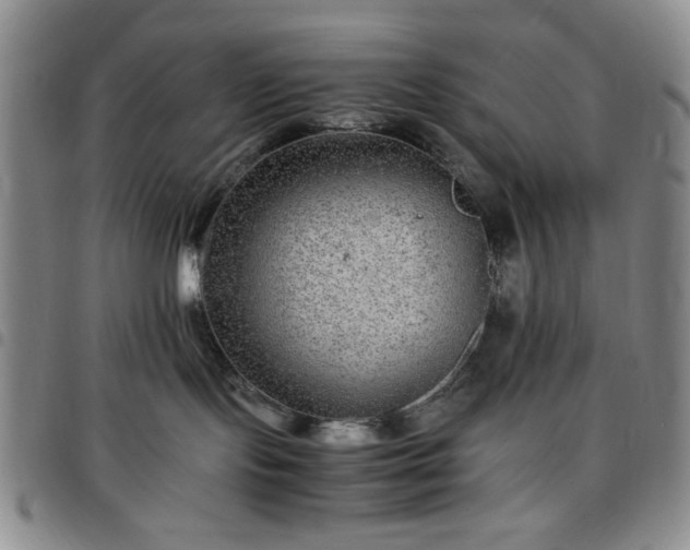 X0000097760095200803141732