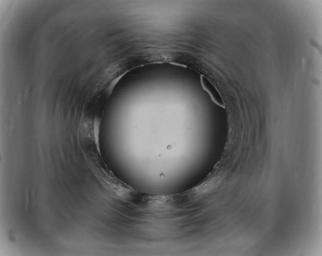 X0000097760096200803141732