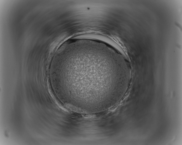 X0000097760097200803141732