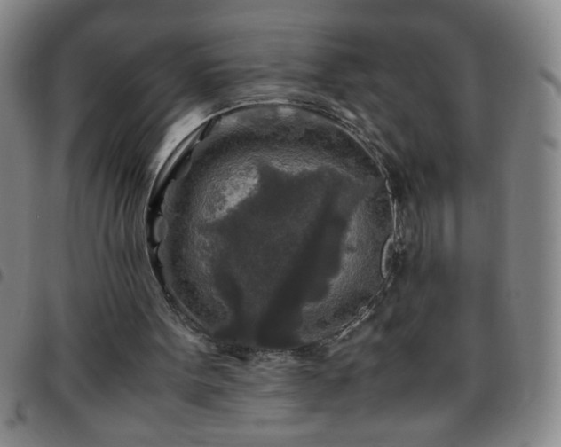 X0000097760099200803141732