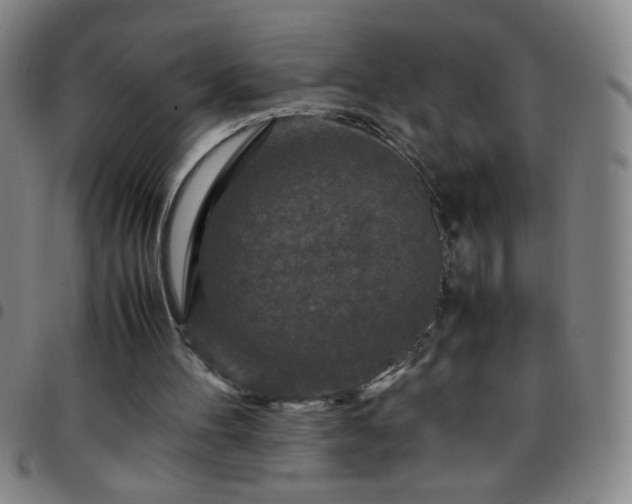 X0000097760100200803141732