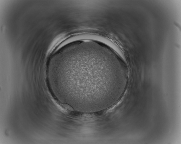 X0000097760101200803141732