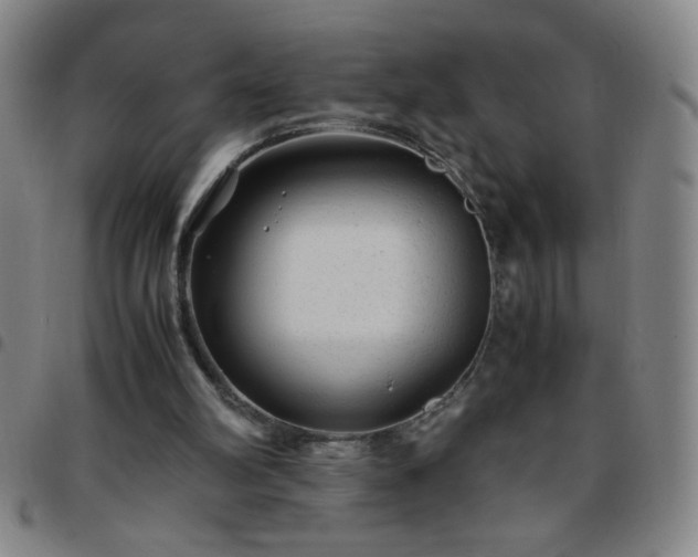 X0000097760102200803141732