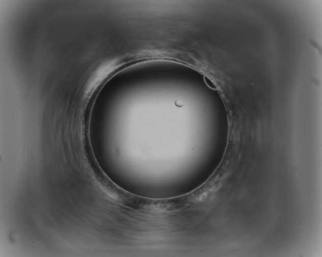 X0000097760103200803141732