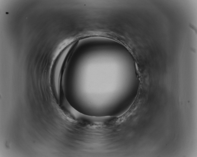 X0000097760104200803141732