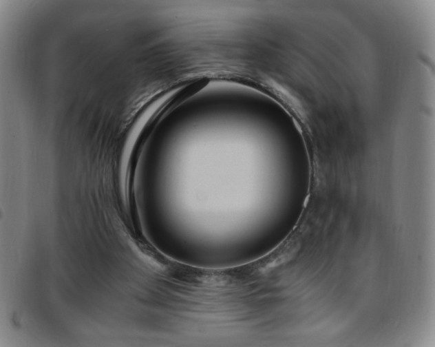 X0000097760105200803141732