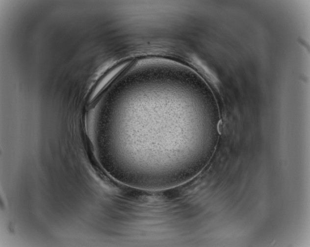 X0000097760107200803141732