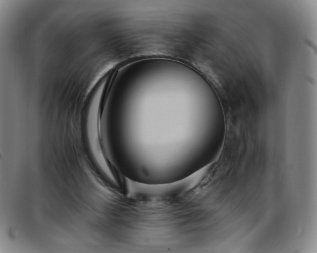 X0000097760108200803141732