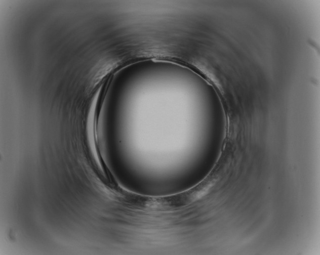 X0000097760109200803141732