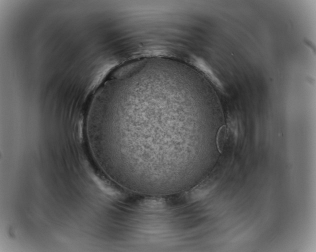 X0000097760110200803141732