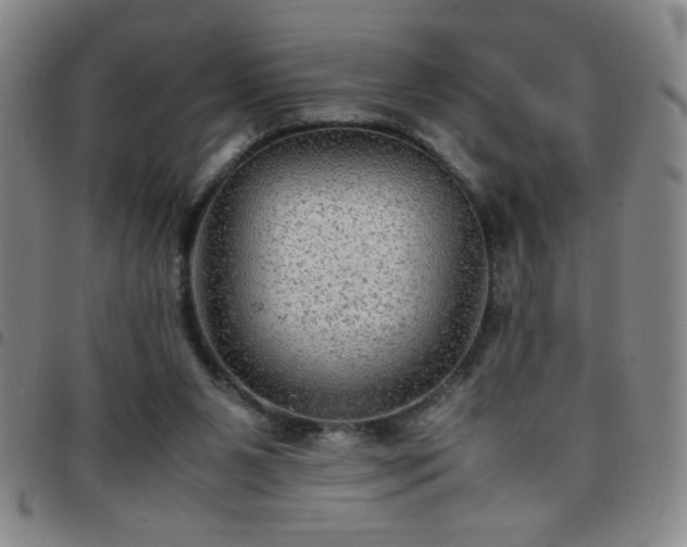 X0000097760111200803141732