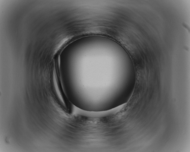 X0000097760112200803141732