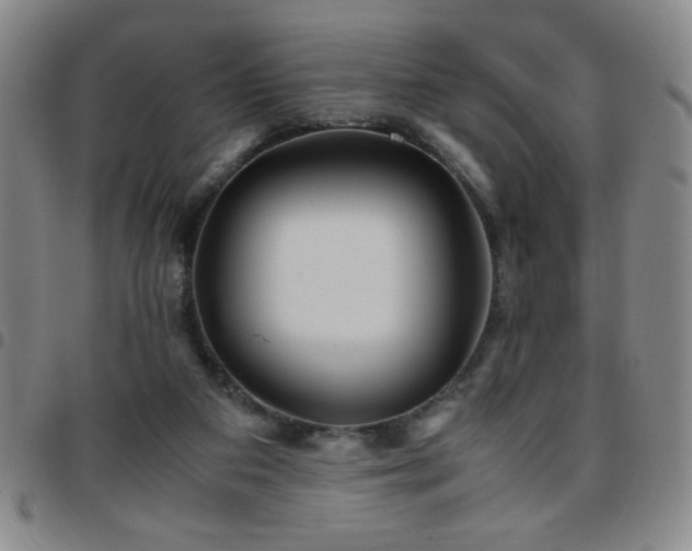 X0000097760113200803141732