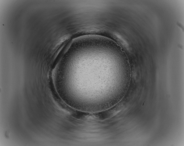 X0000097760115200803141732