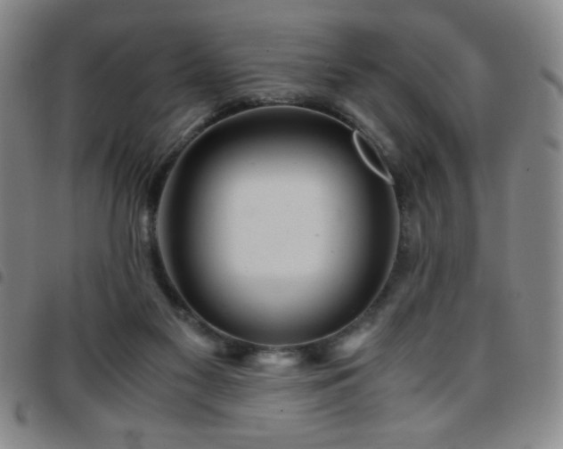 X0000097760117200803141732