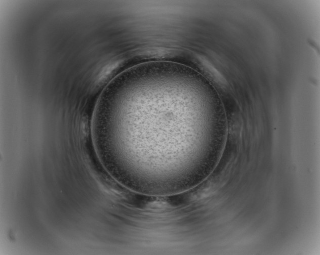 X0000097760119200803141732