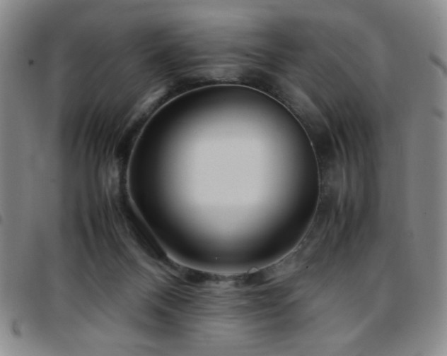 X0000097760120200803141731