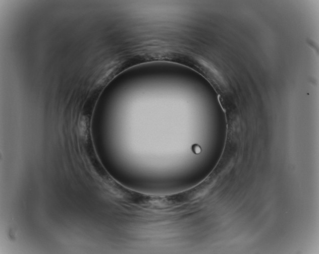 X0000097760121200803141731