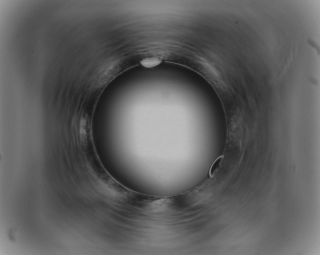 X0000097760122200803141731