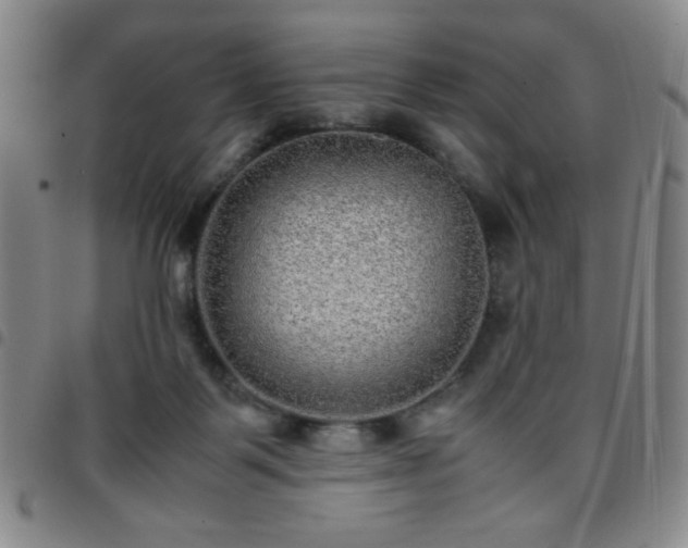 X0000097760123200803141731