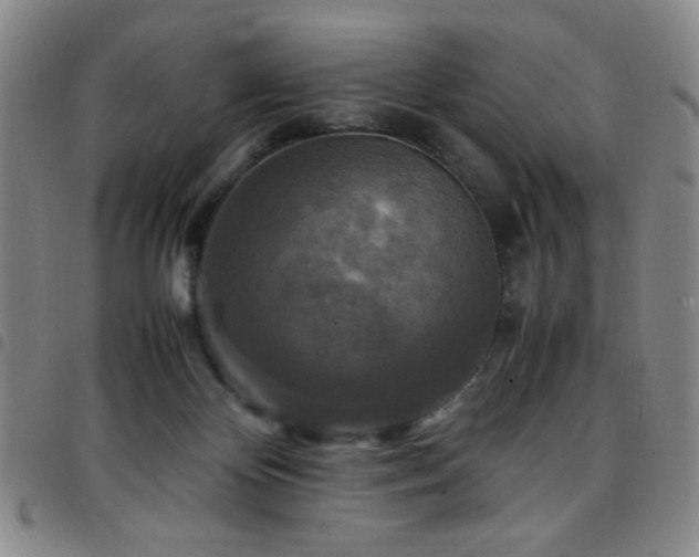 X0000097760124200803141731