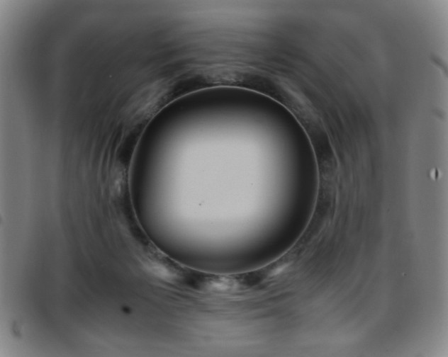 X0000097760125200803141731