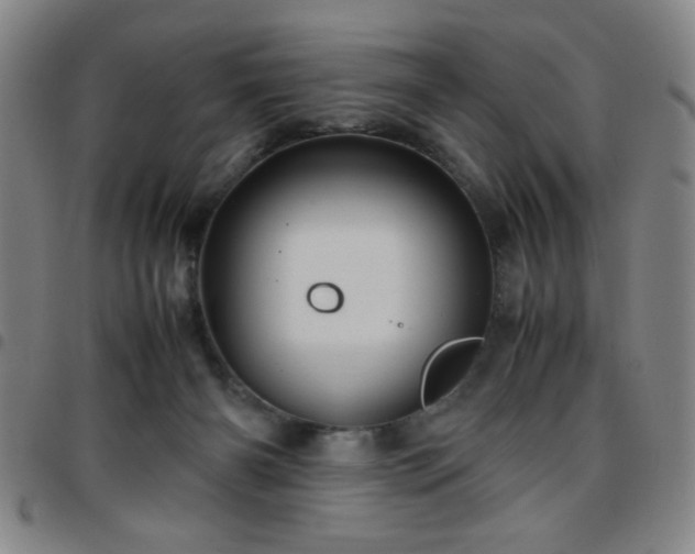 X0000097760126200803141731