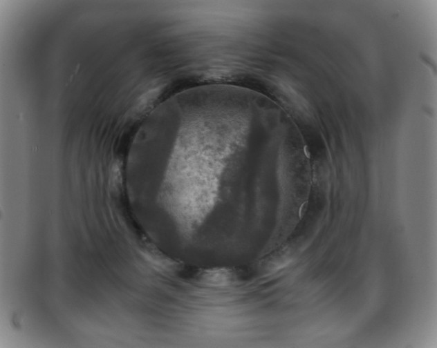 X0000097760127200803141731