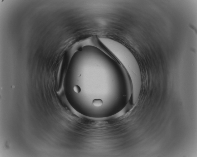 X0000097760128200803141731