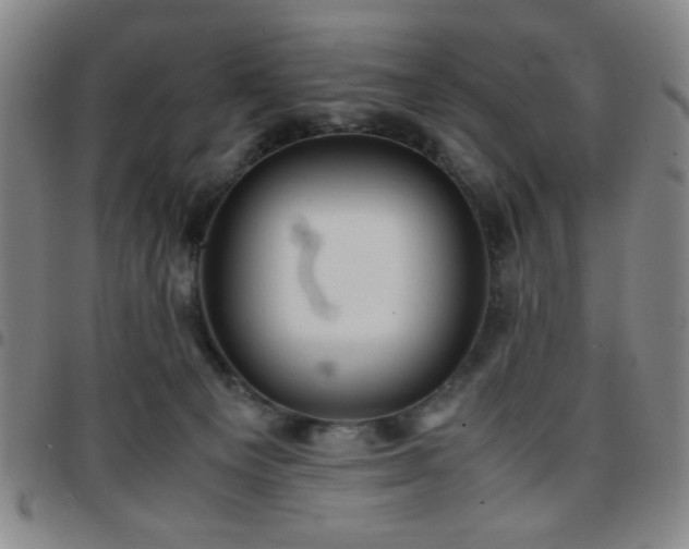 X0000097760129200803141731