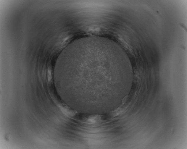 X0000097760130200803141731