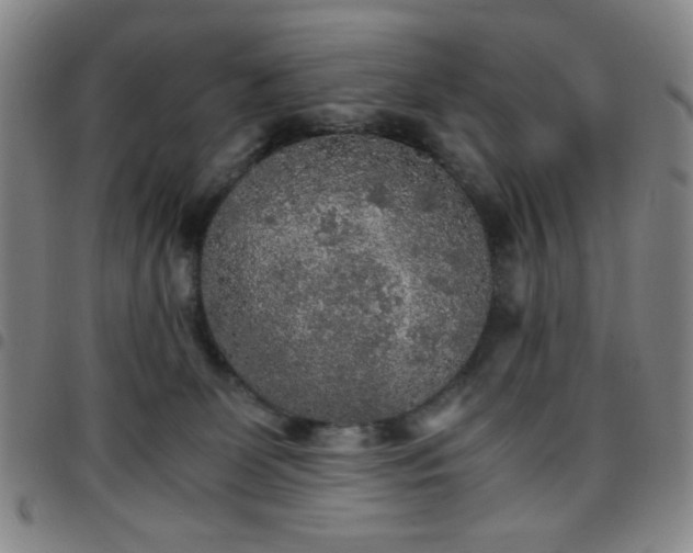 X0000097760131200803141731