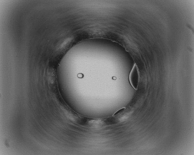 X0000097760133200803141731