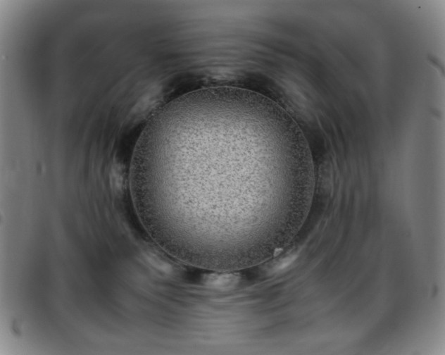 X0000097760135200803141731