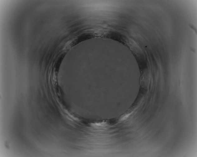 X0000097760137200803141731