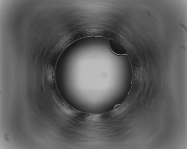 X0000097760138200803141731