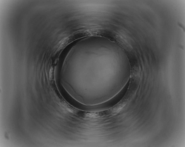 X0000097760139200803141731