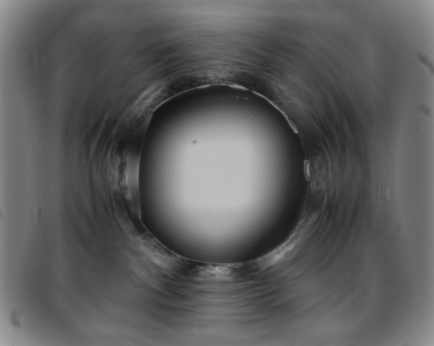 X0000097760140200803141731