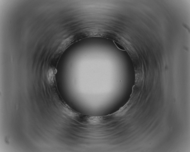 X0000097760142200803141731