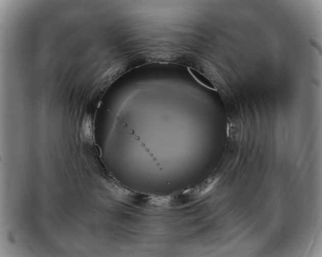 X0000097760143200803141731